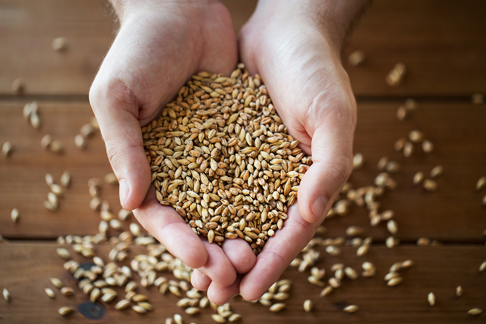 Benefits of a Good Storage System for Cereal Grains