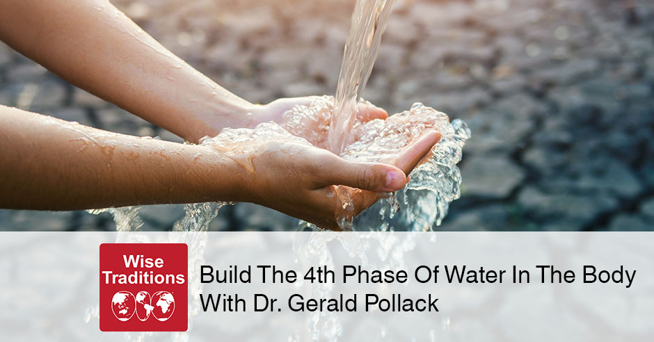 Build The 4th Phase Of Water In The Body