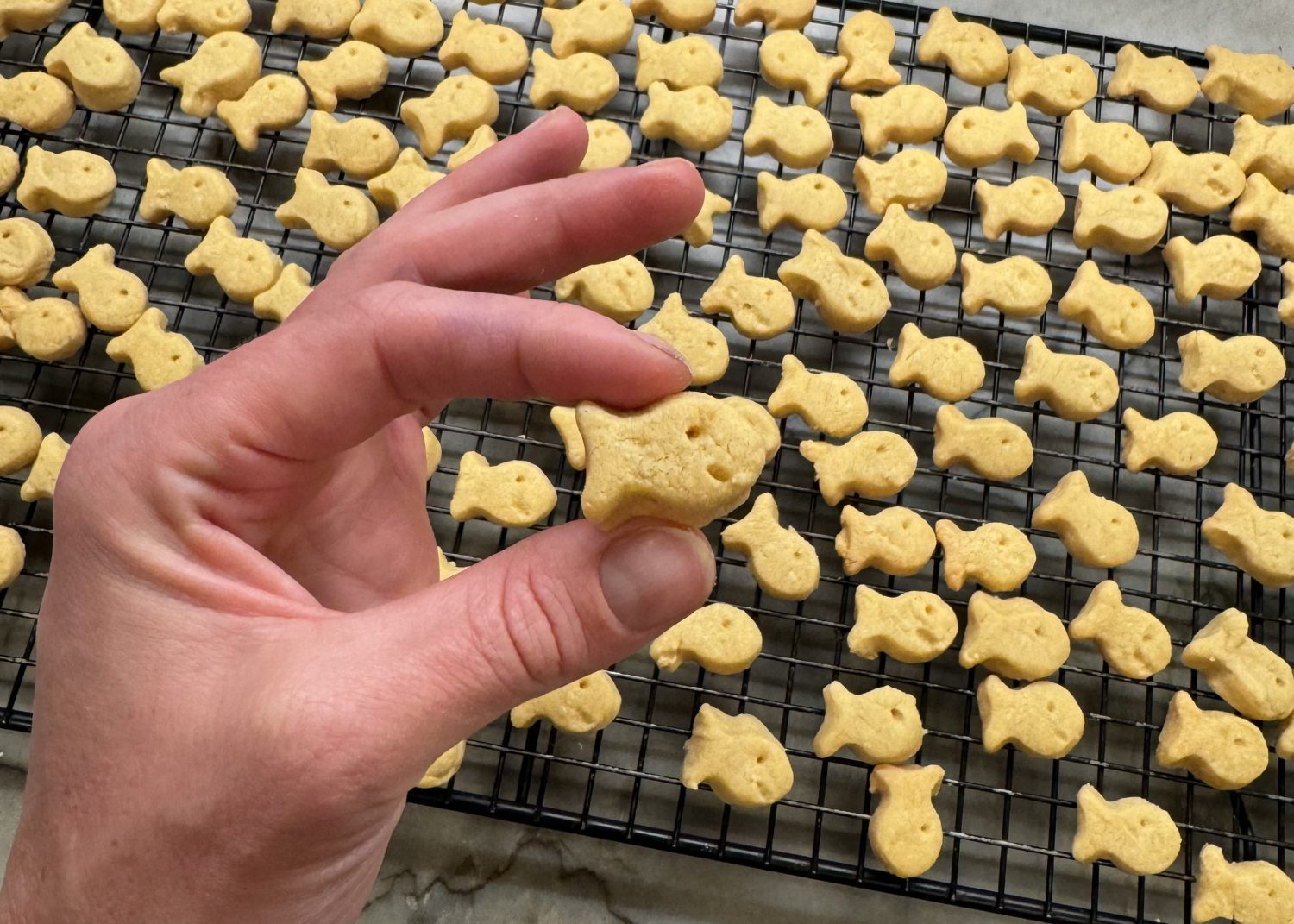 5-Ingredient Goldfish Cracker Snacks