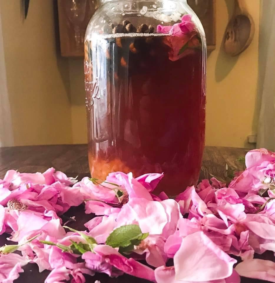 Pine Cone and Rose Petals Water Kefir